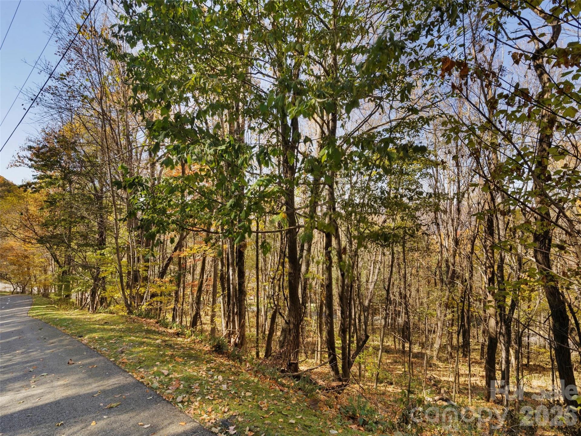 Lot 28 Jefferson Lane - Photo 2