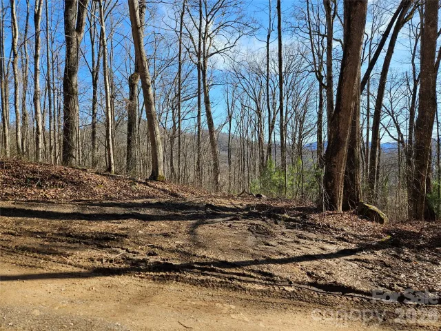 262 Si Knob Road, Cullowhee, NC, 28723