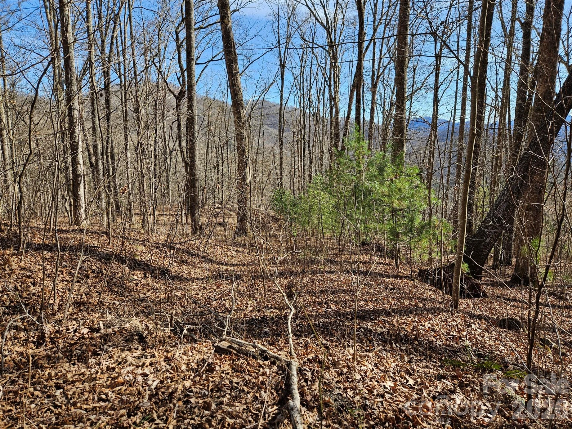 262 Si Knob Road - Photo 2