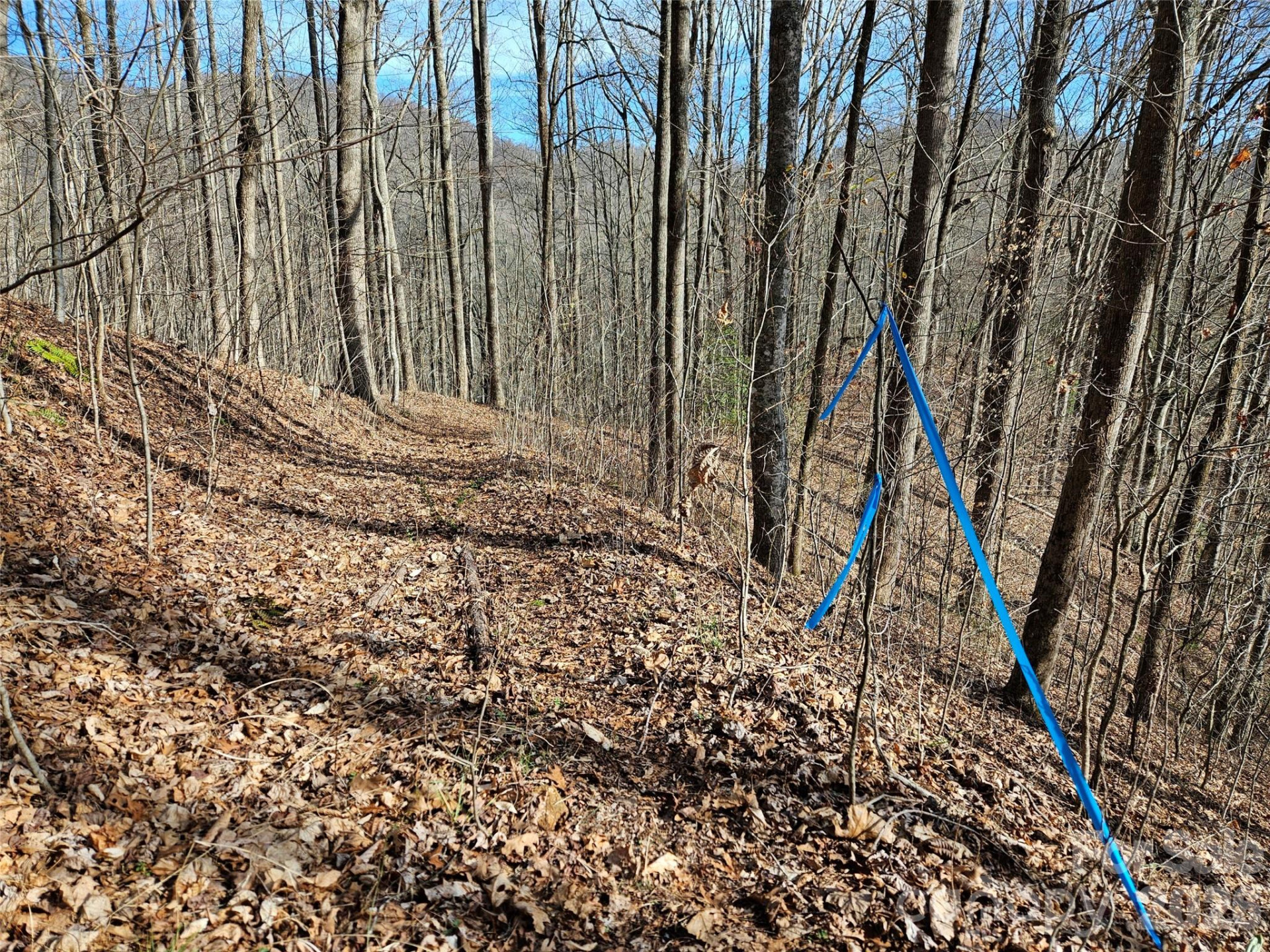 262 Si Knob Road - Photo 11