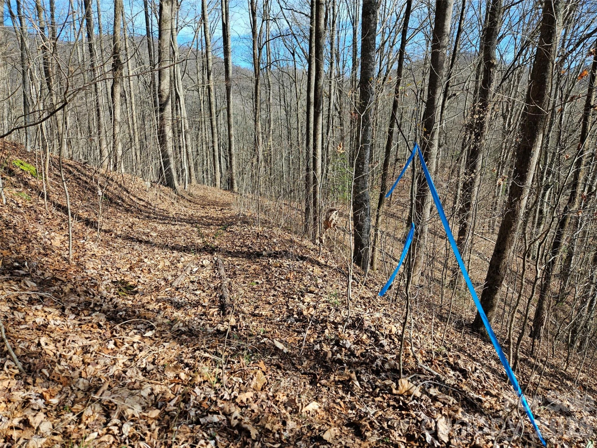262 Si Knob Road - Photo 11