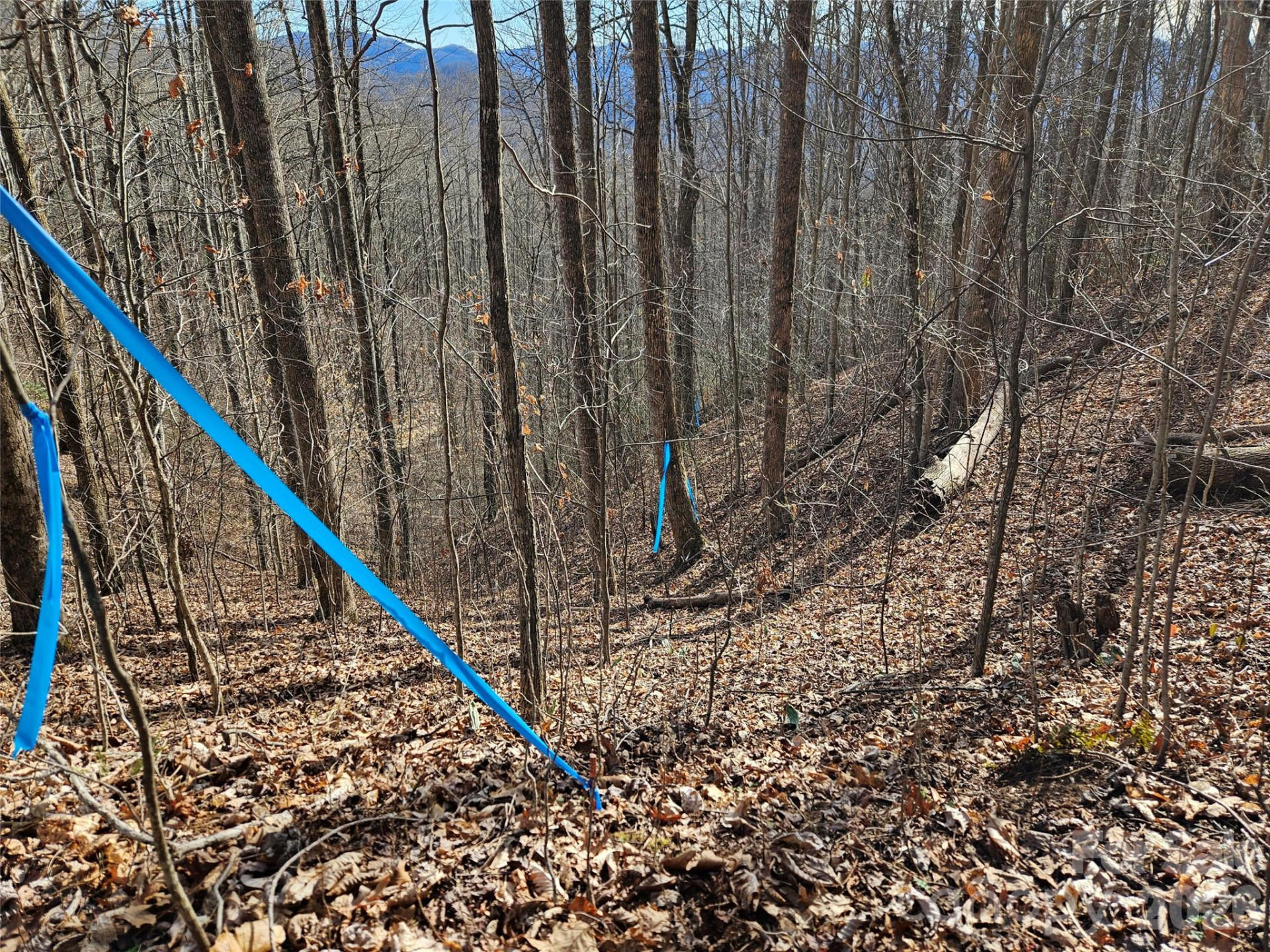 262 Si Knob Road - Photo 12