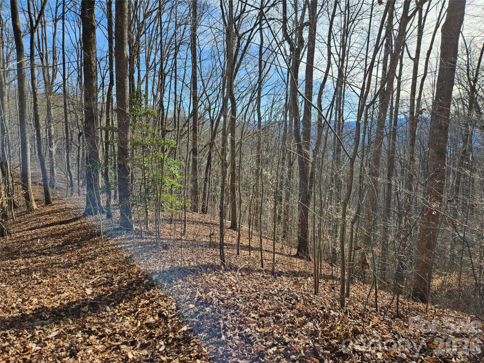 262 Si Knob Road - Photo 13