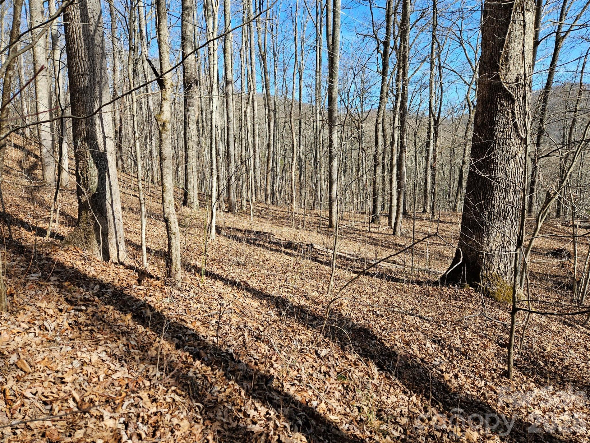 262 Si Knob Road - Photo 3