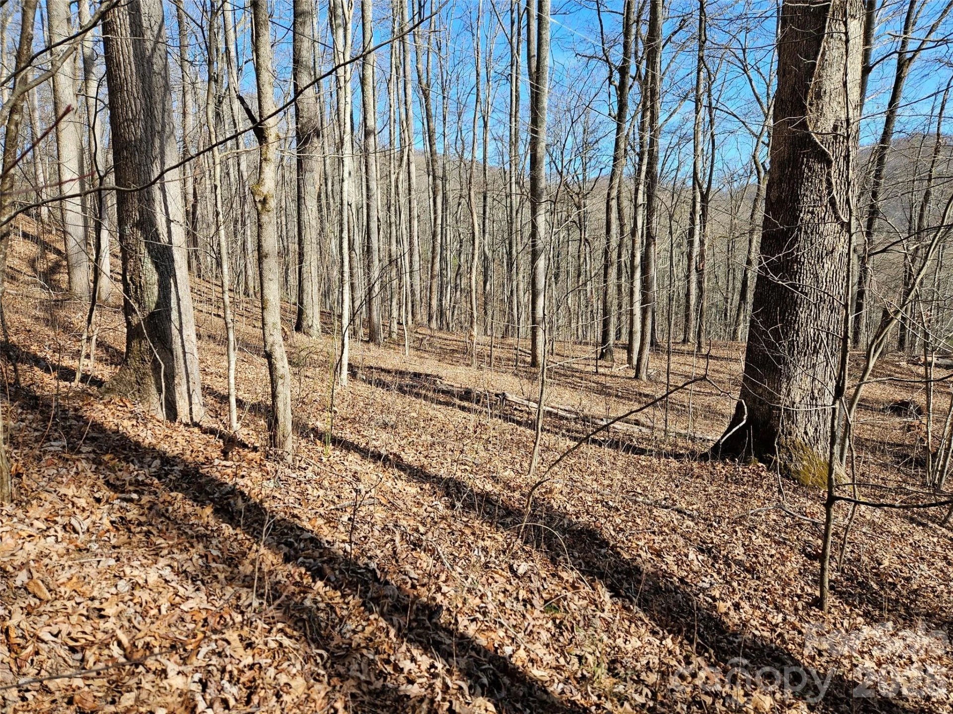 262 Si Knob Road - Photo 3