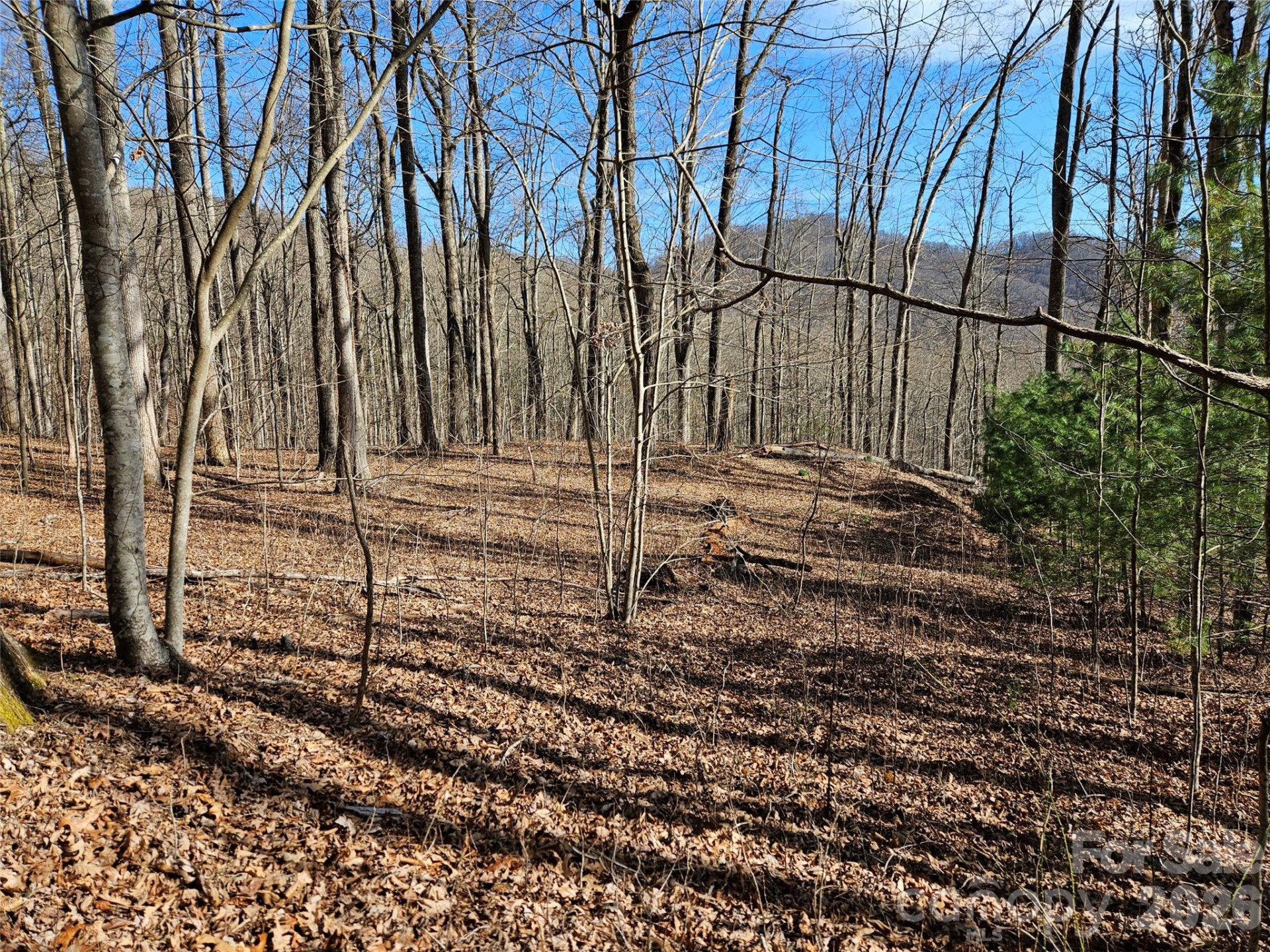 262 Si Knob Road - Photo 4