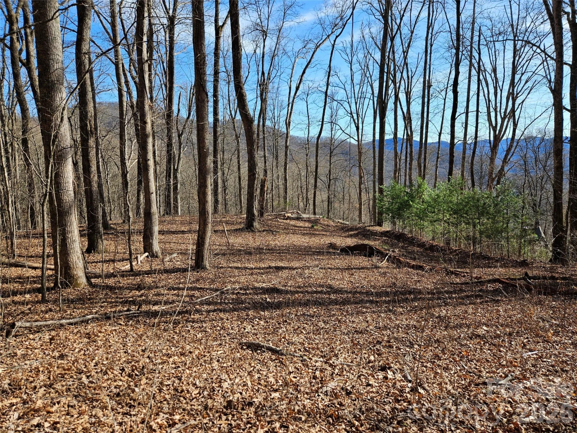 262 Si Knob Road - Photo 5