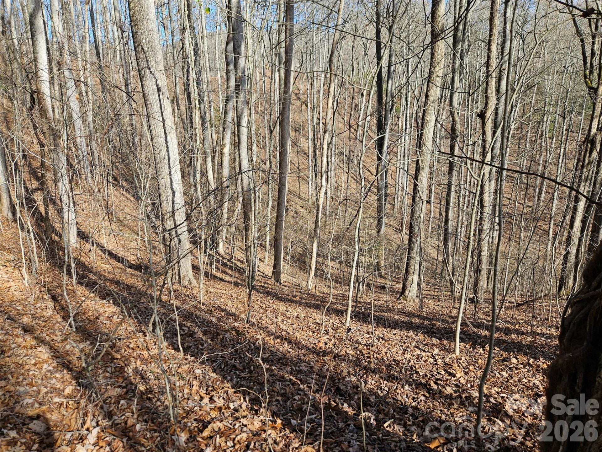 262 Si Knob Road - Photo 6