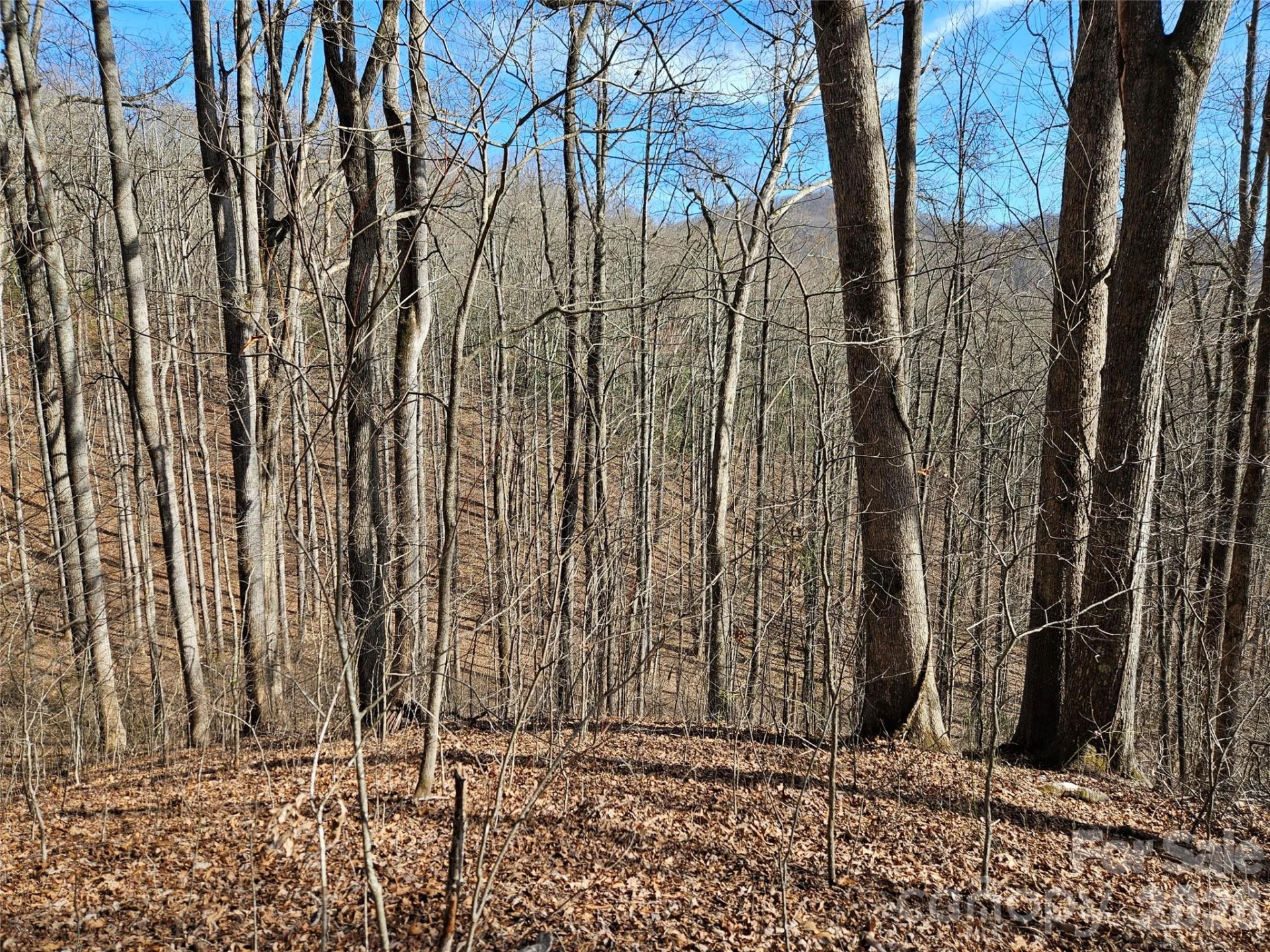 262 Si Knob Road - Photo 7