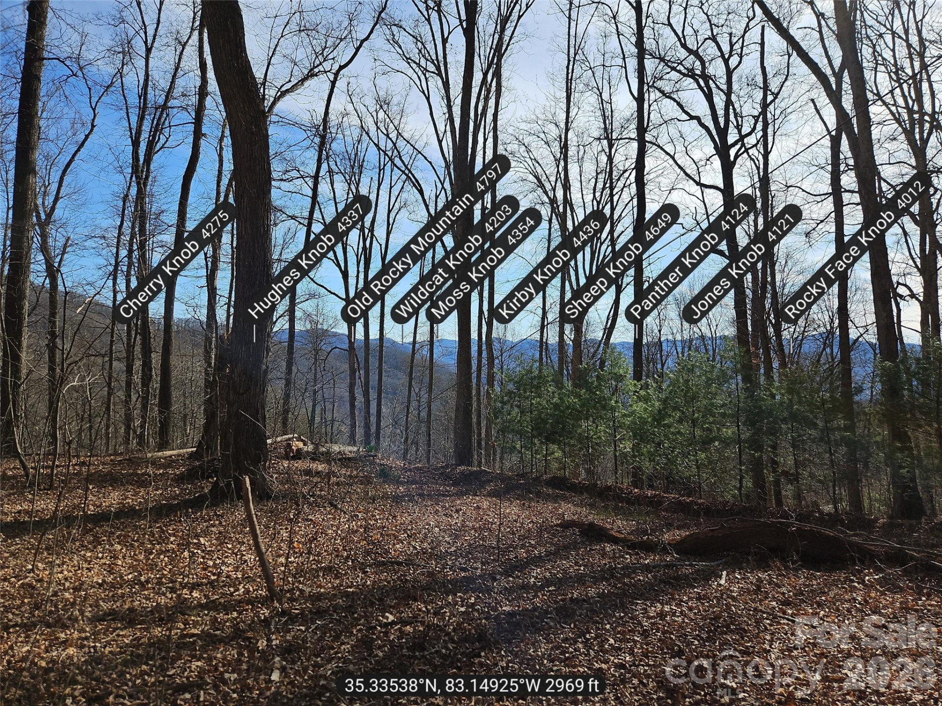 262 Si Knob Road - Photo 8