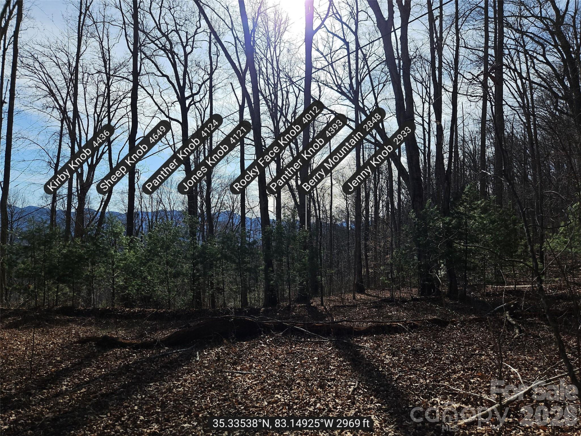 262 Si Knob Road - Photo 9