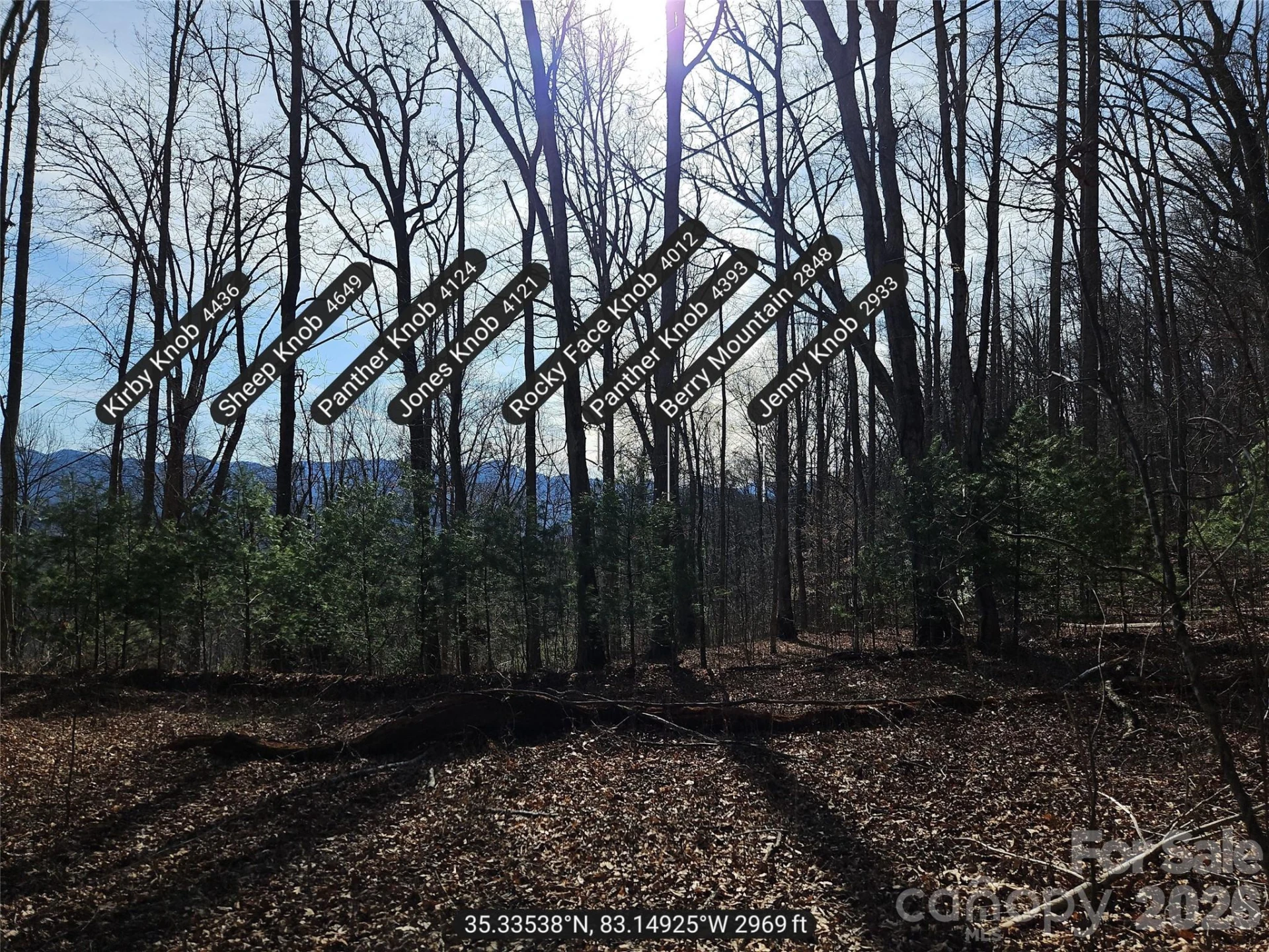 262 Si Knob Road - Photo 9