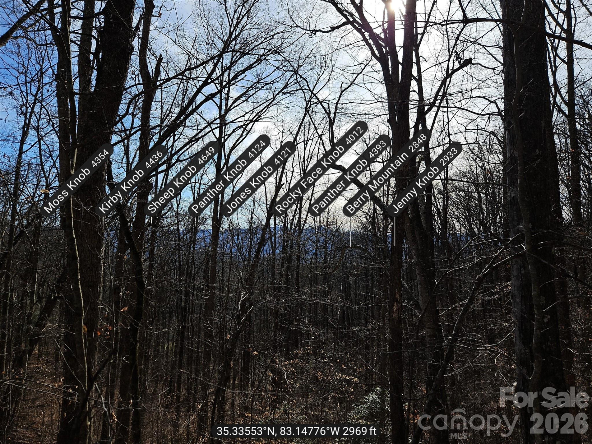 262 Si Knob Road - Photo 10