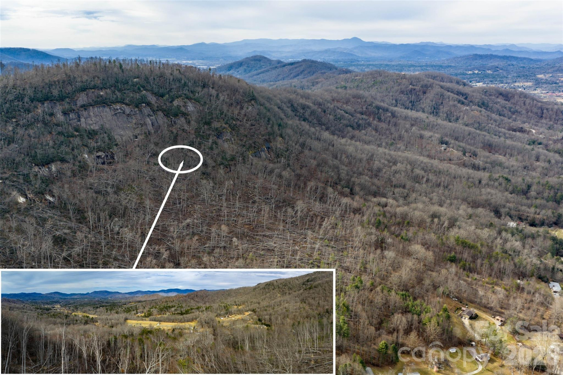 99999 Brush Creek Circle - Photo 2