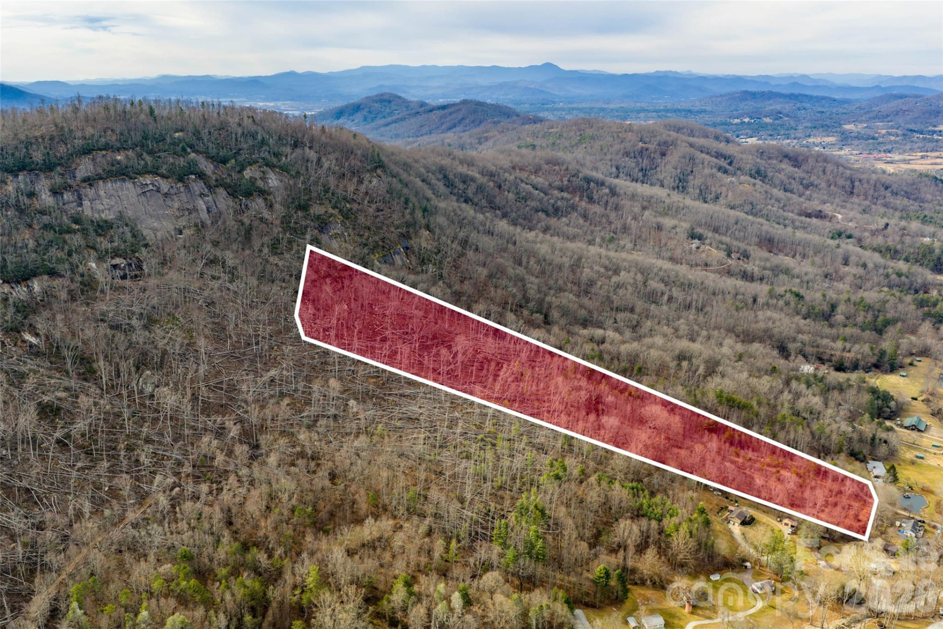 99999 Brush Creek Circle - Photo 3