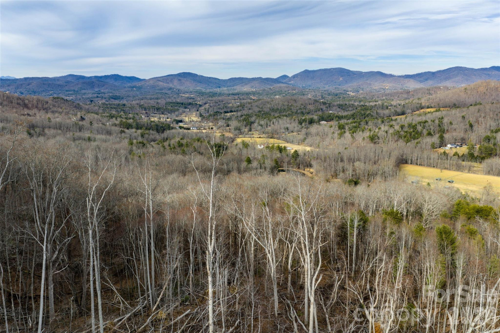 99999 Brush Creek Circle - Photo 4