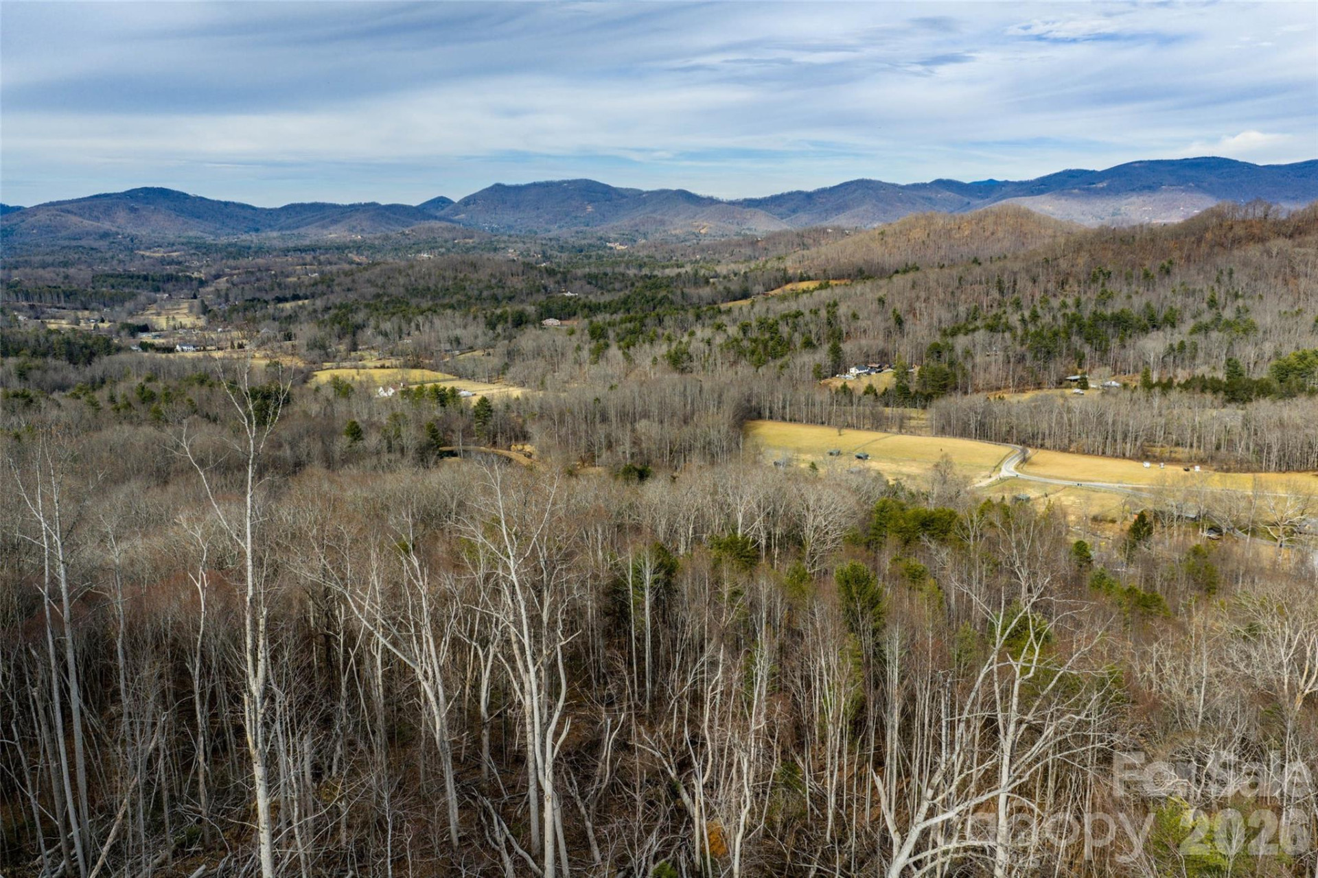 99999 Brush Creek Circle - Photo 5