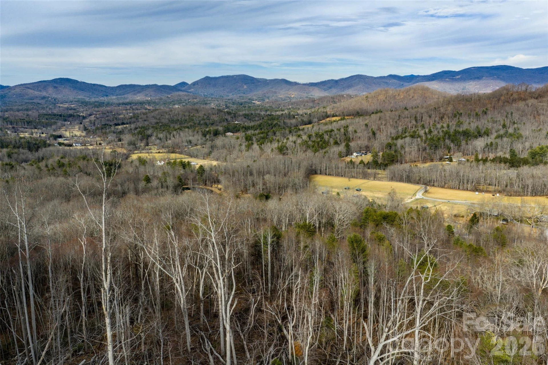99999 Brush Creek Circle - Photo 5