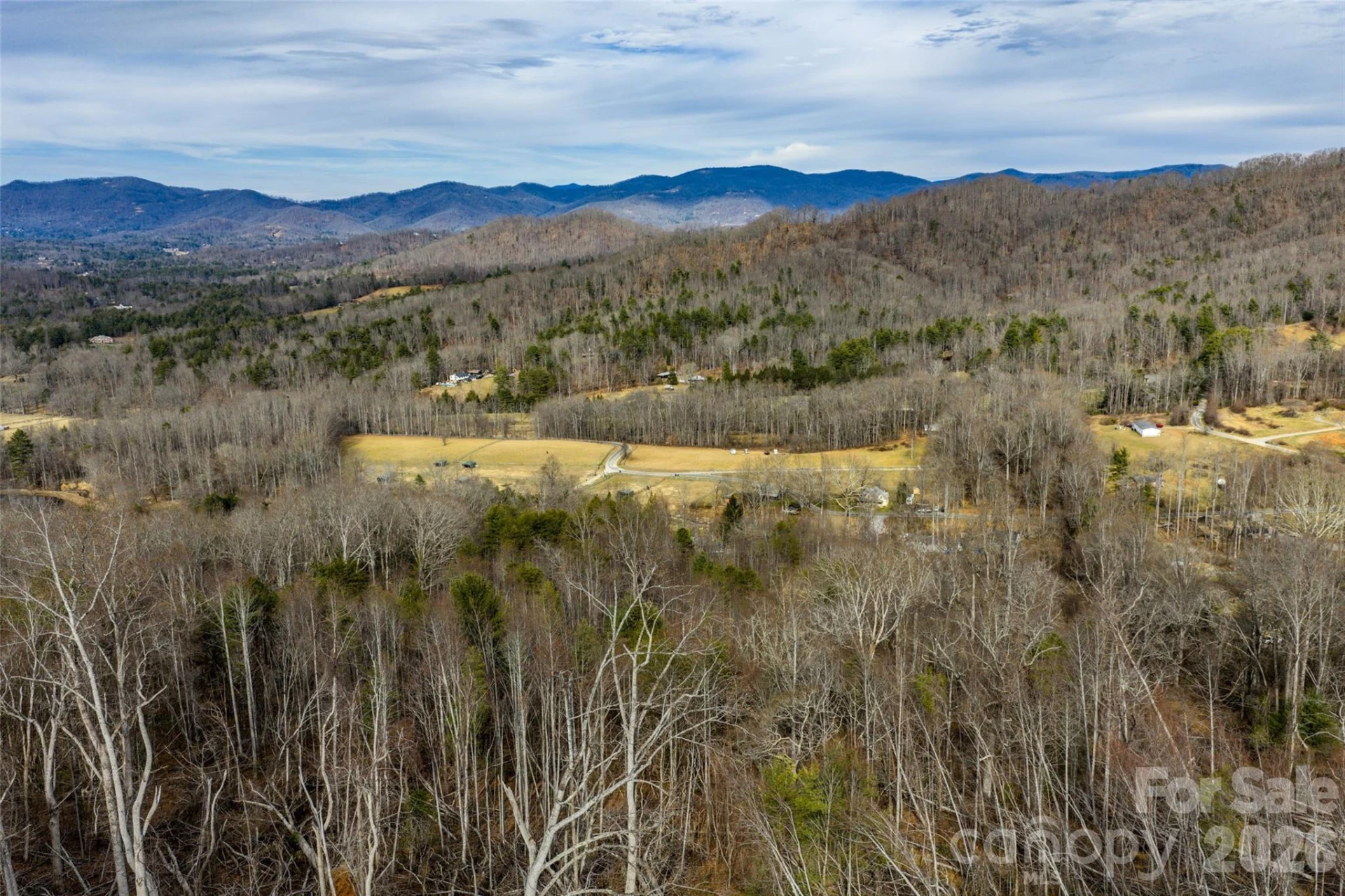 99999 Brush Creek Circle - Photo 6