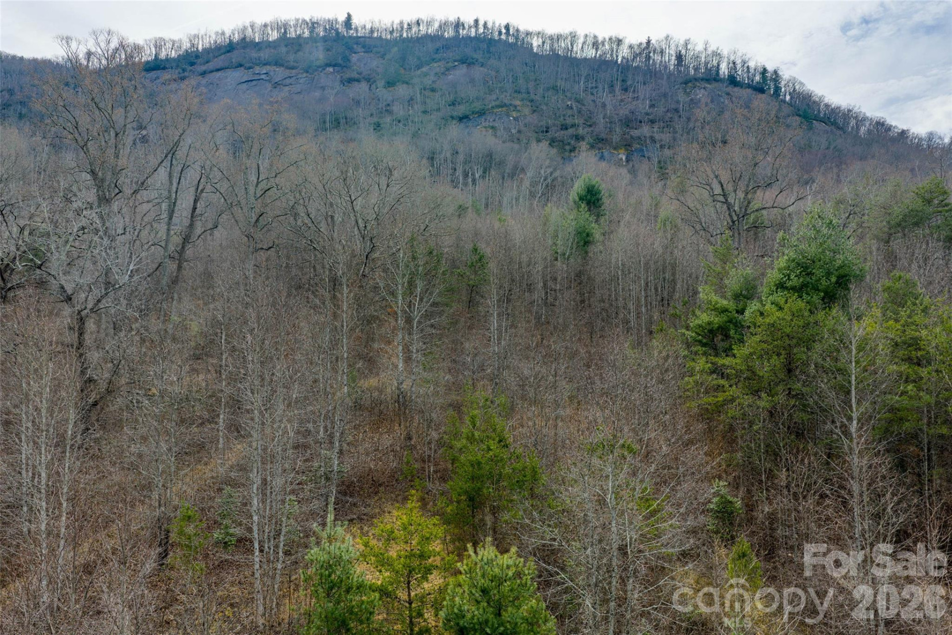 99999 Brush Creek Circle - Photo 10