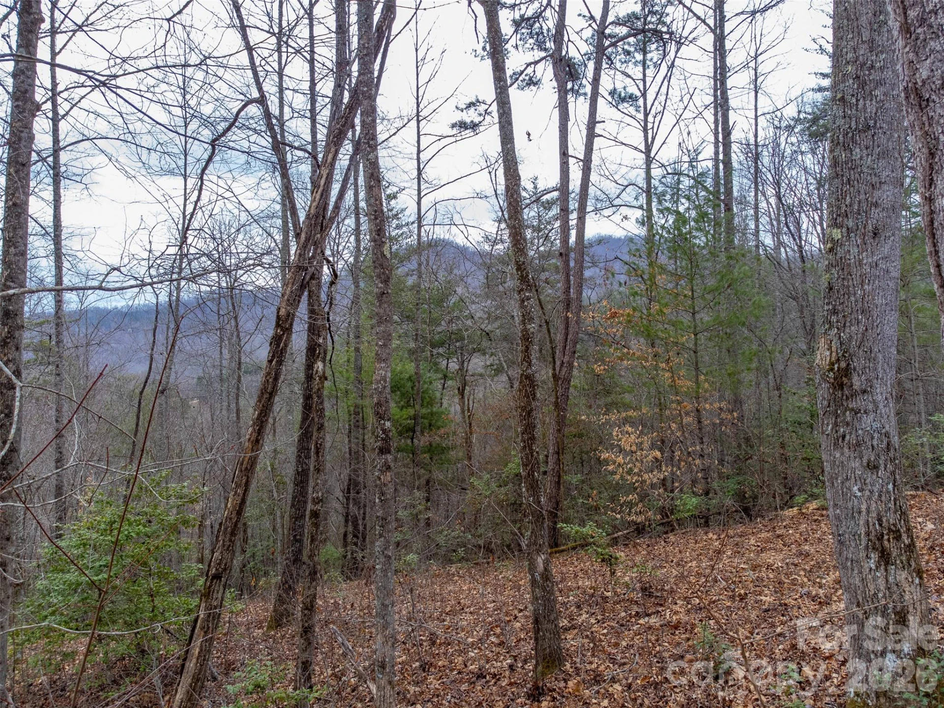 201 Woodhaven Estates - Photo 30