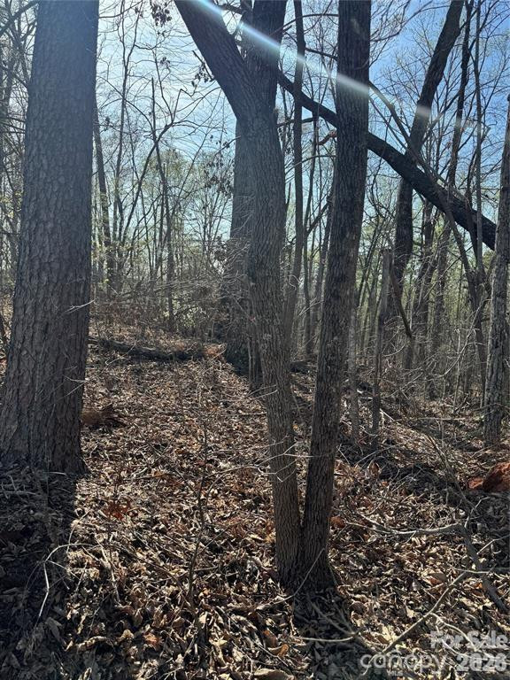 00 Bayberry Drive #18 - Photo 4