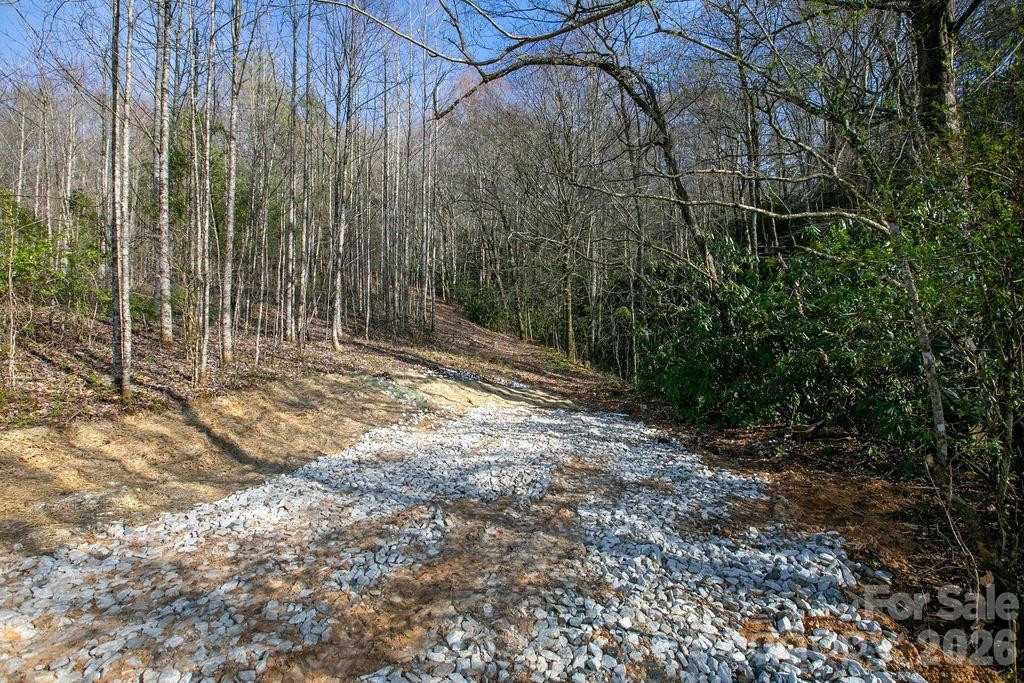 TBD Middlefork Road - Photo 11