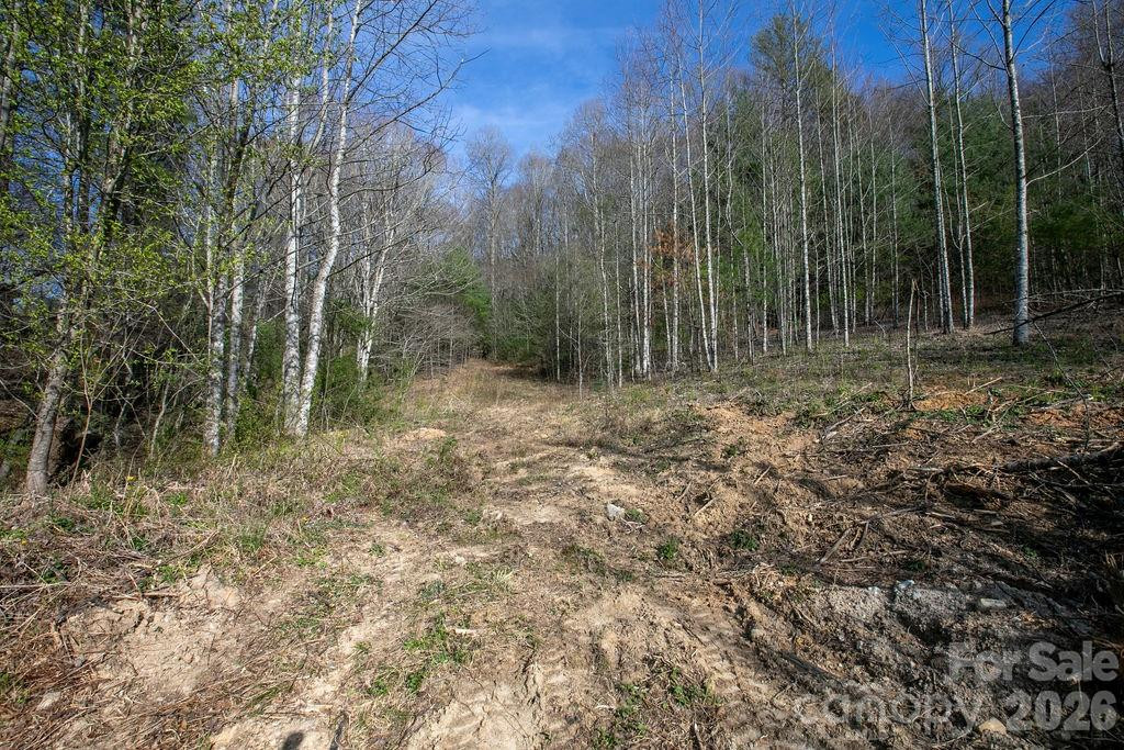 TBD Middlefork Road - Photo 13