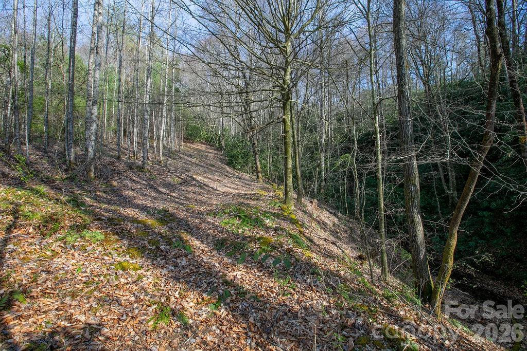 TBD Middlefork Road - Photo 16