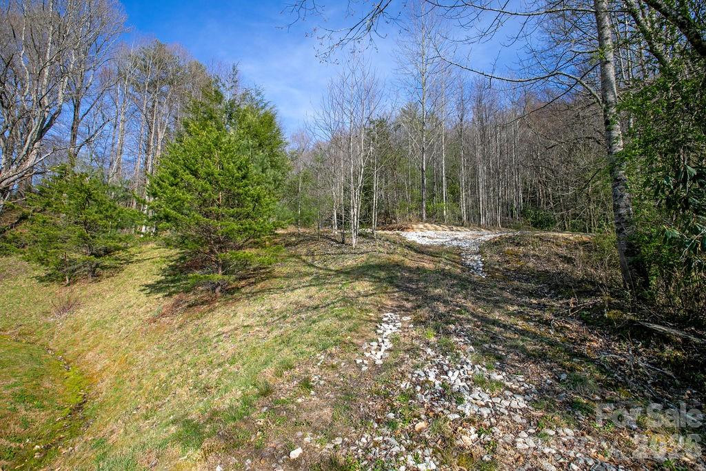 TBD Middlefork Road - Photo 9