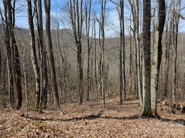 000 Forbidden Cove, Waynesville, NC, 28785