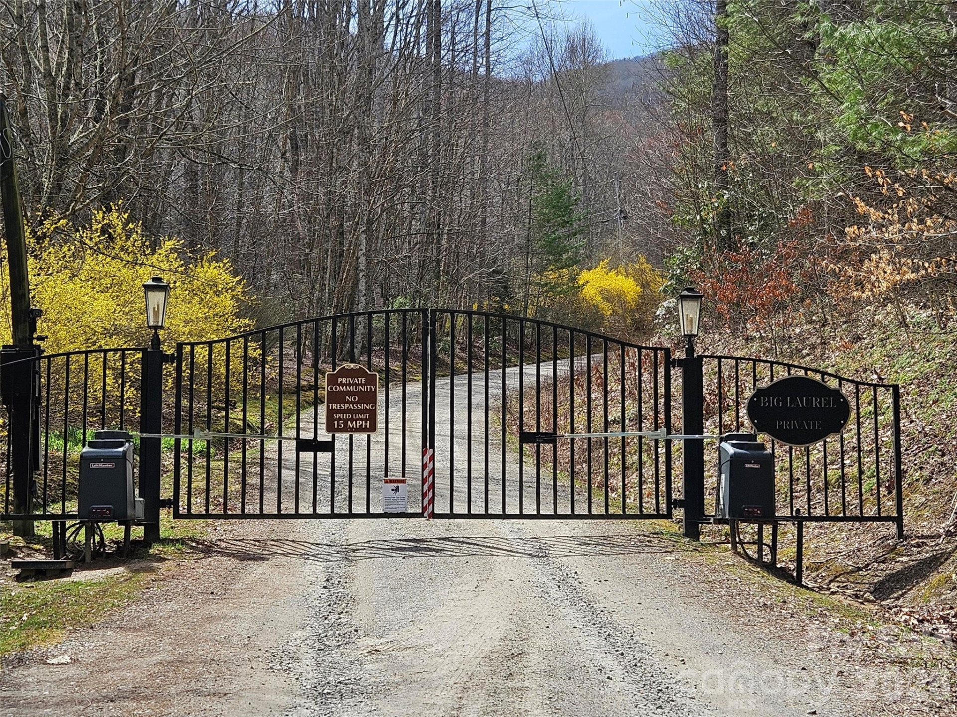 000 Forbidden Cove - Photo 2