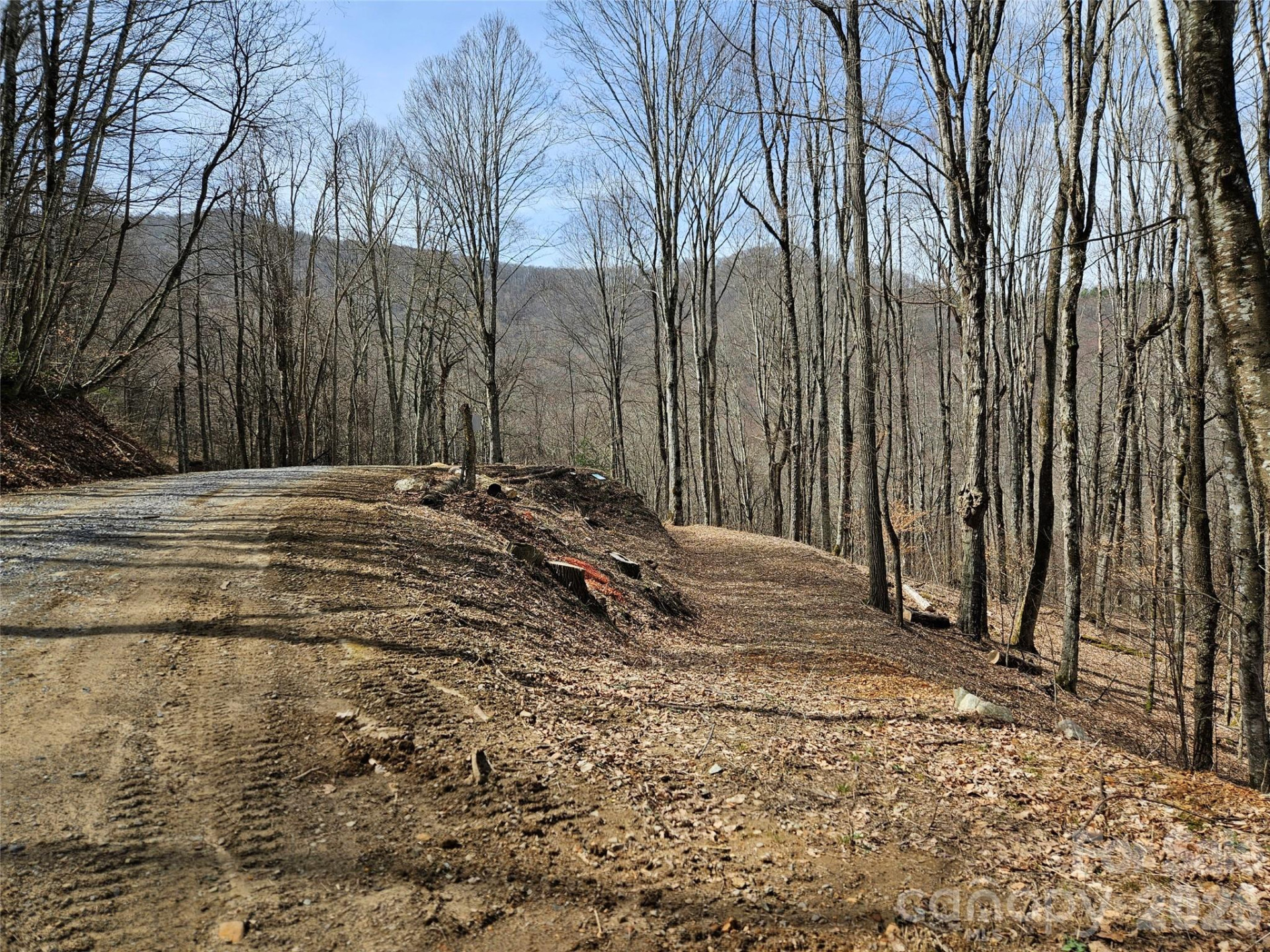 000 Forbidden Cove - Photo 11