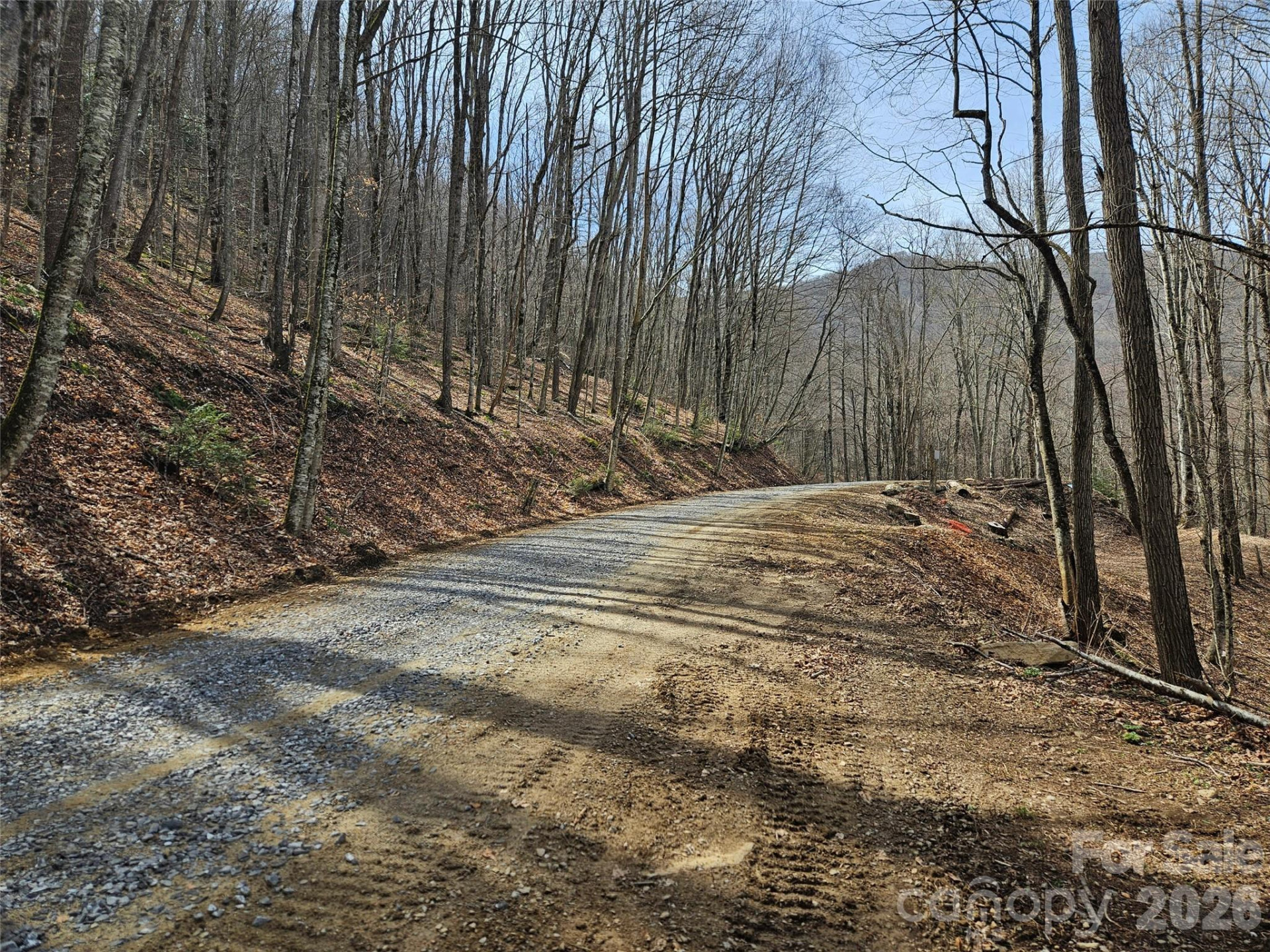 000 Forbidden Cove - Photo 12