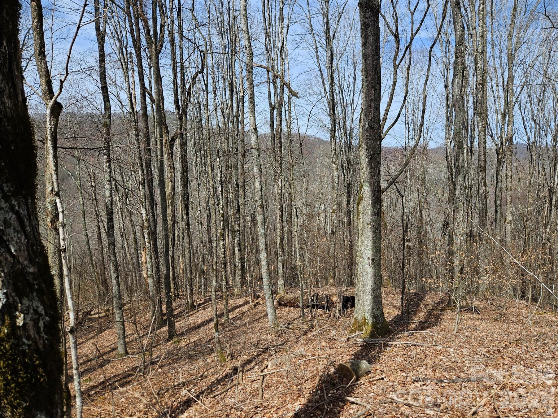 000 Forbidden Cove - Photo 13