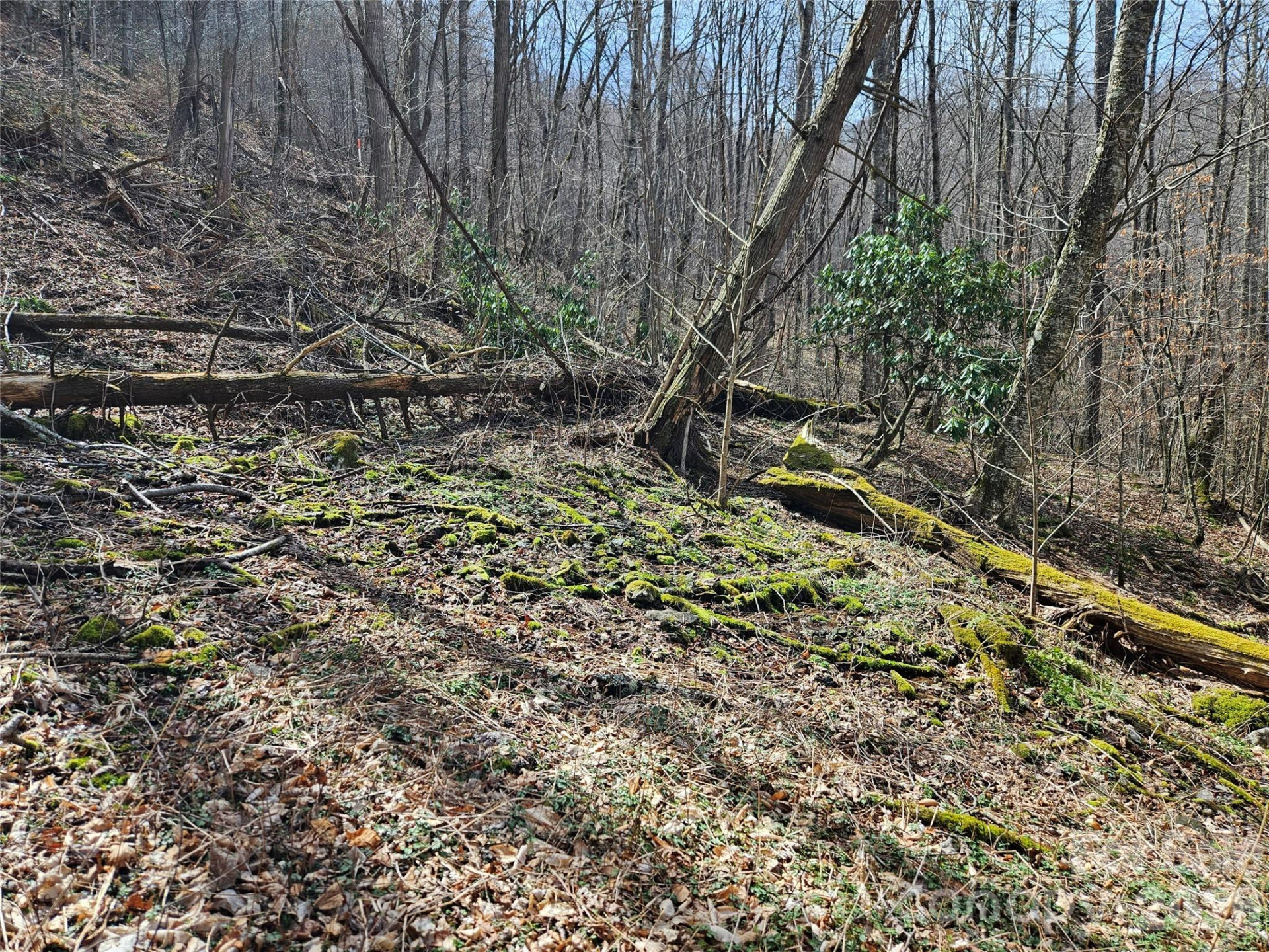 000 Forbidden Cove - Photo 14