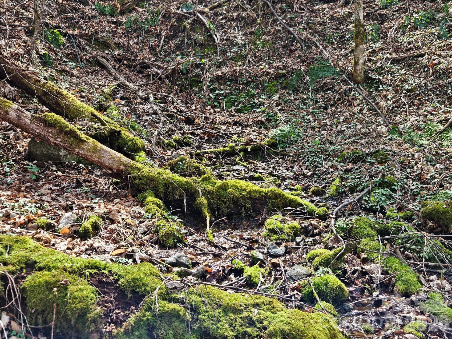 000 Forbidden Cove - Photo 16