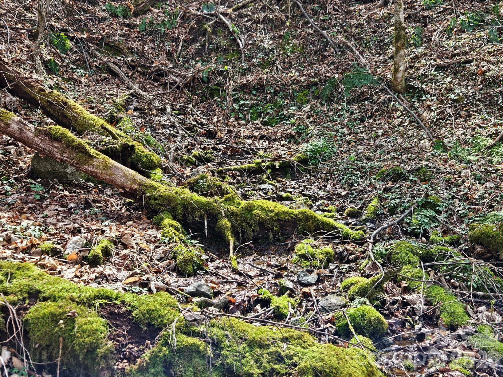 000 Forbidden Cove - Photo 16