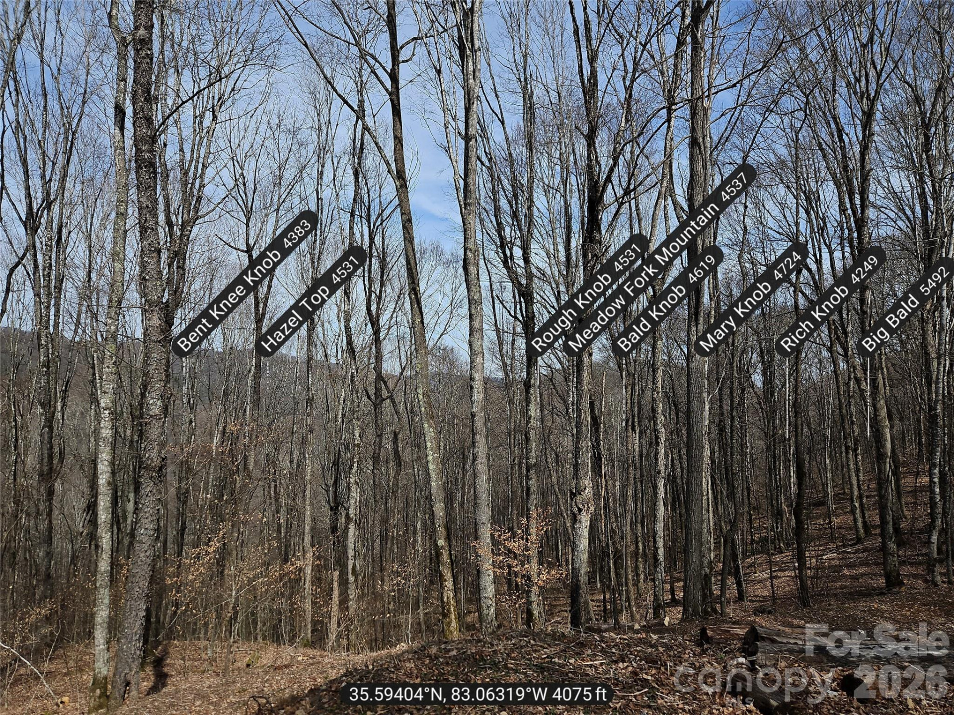 000 Forbidden Cove - Photo 17