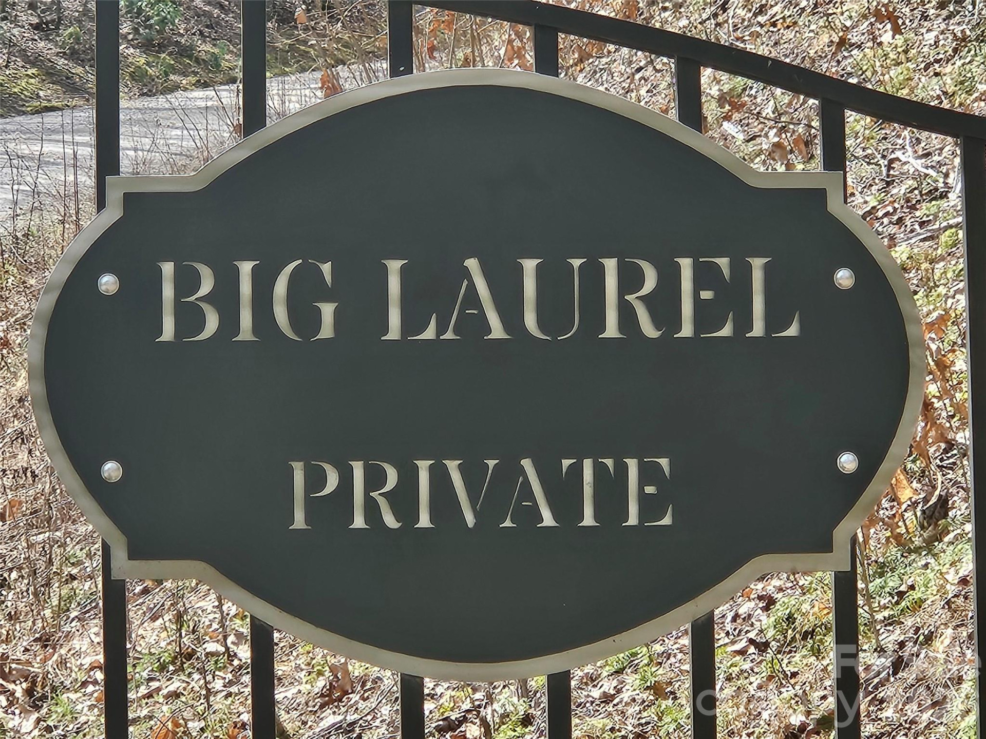 000 Forbidden Cove - Photo 3