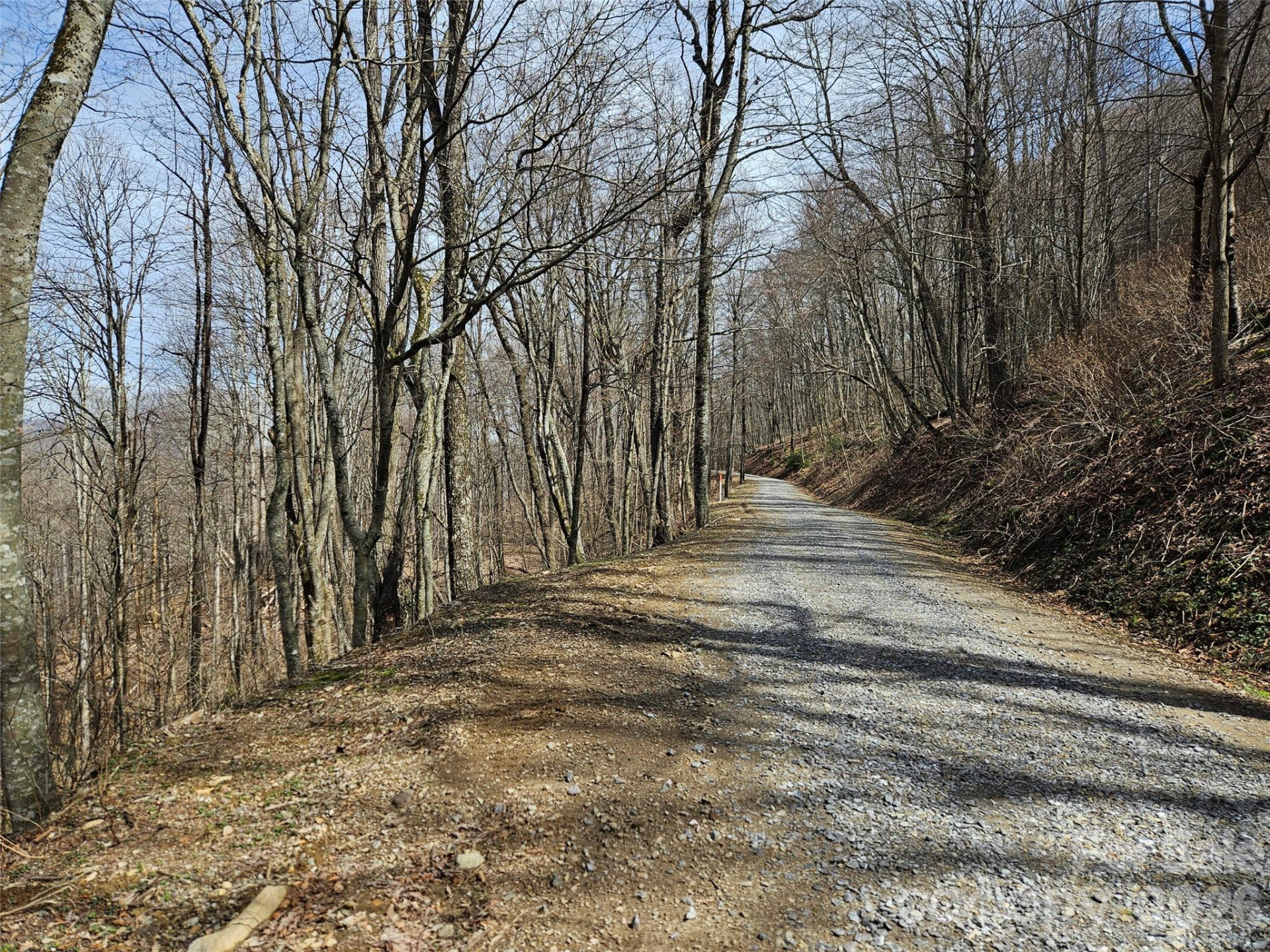 000 Forbidden Cove - Photo 4