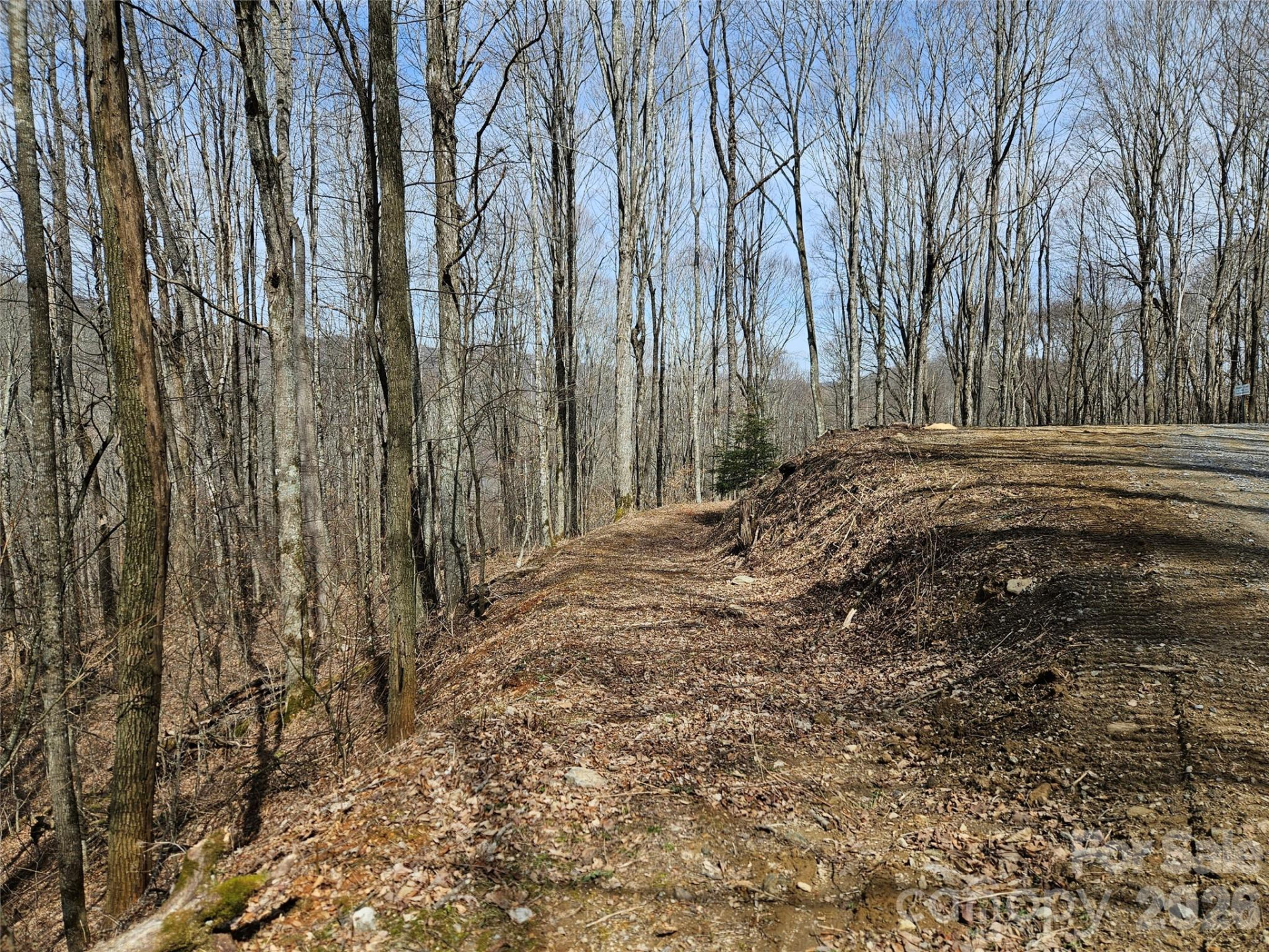 000 Forbidden Cove - Photo 6