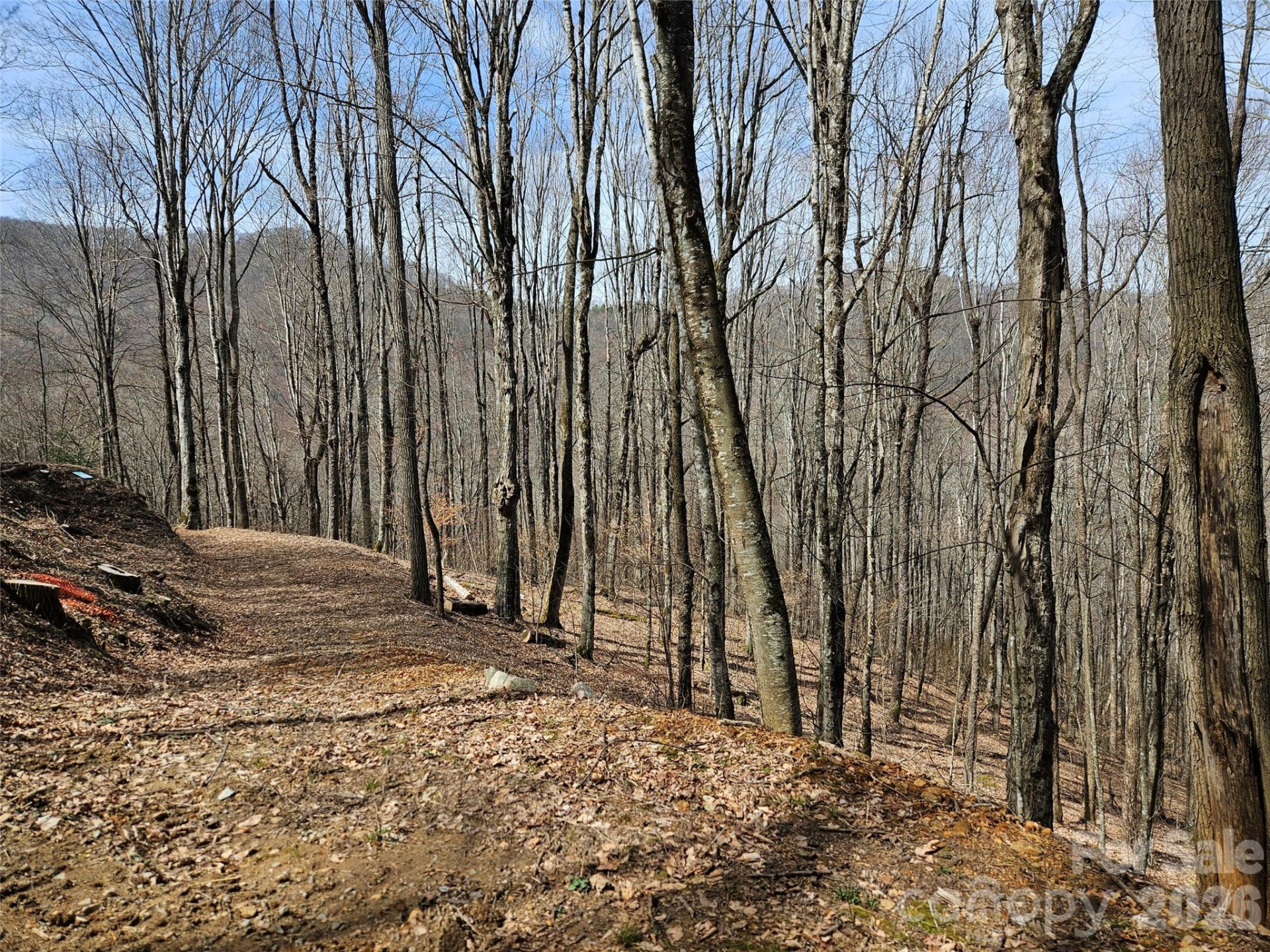 000 Forbidden Cove - Photo 10