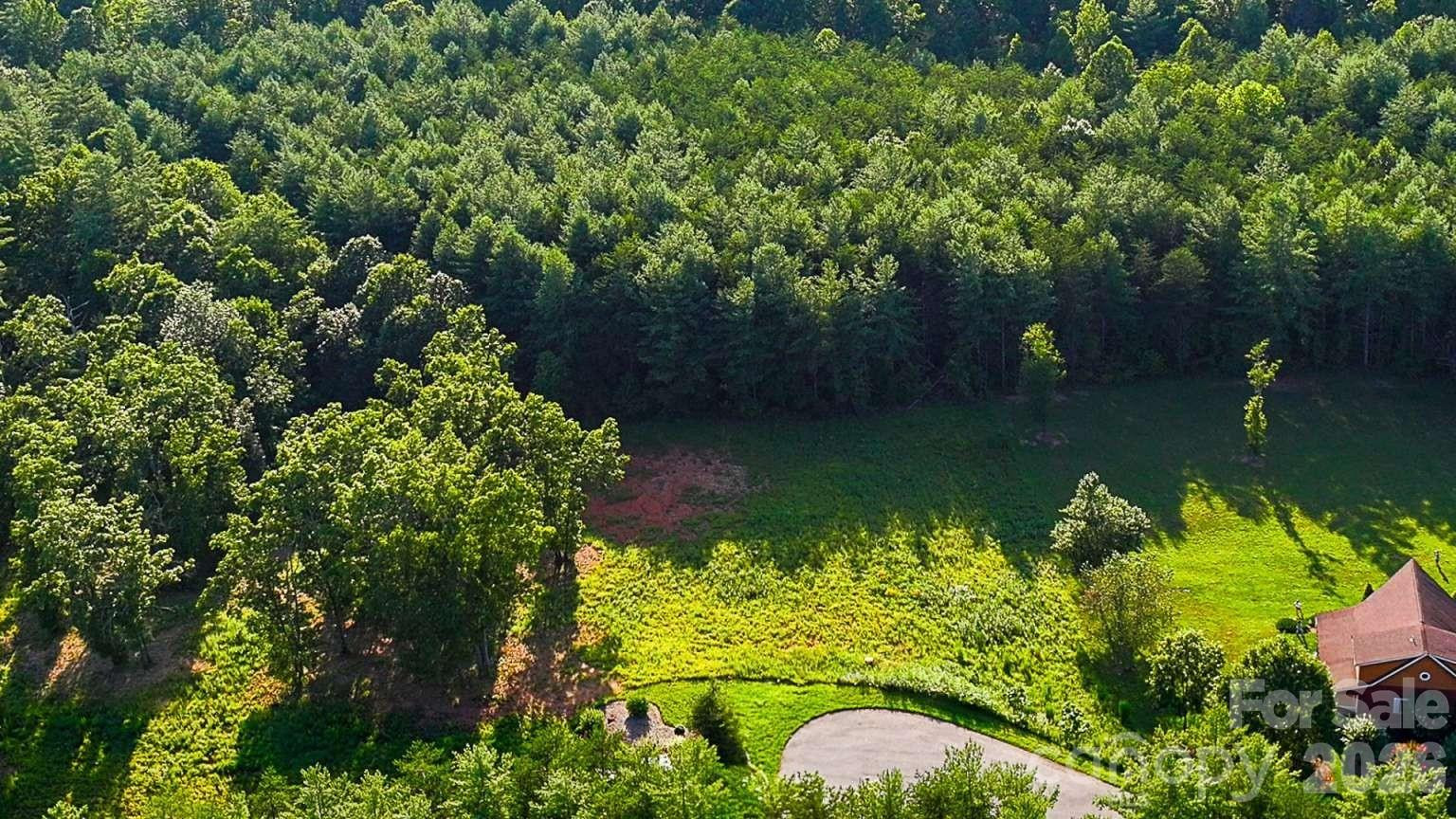 1106 Table View Drive #Lot 50 - Photo 6