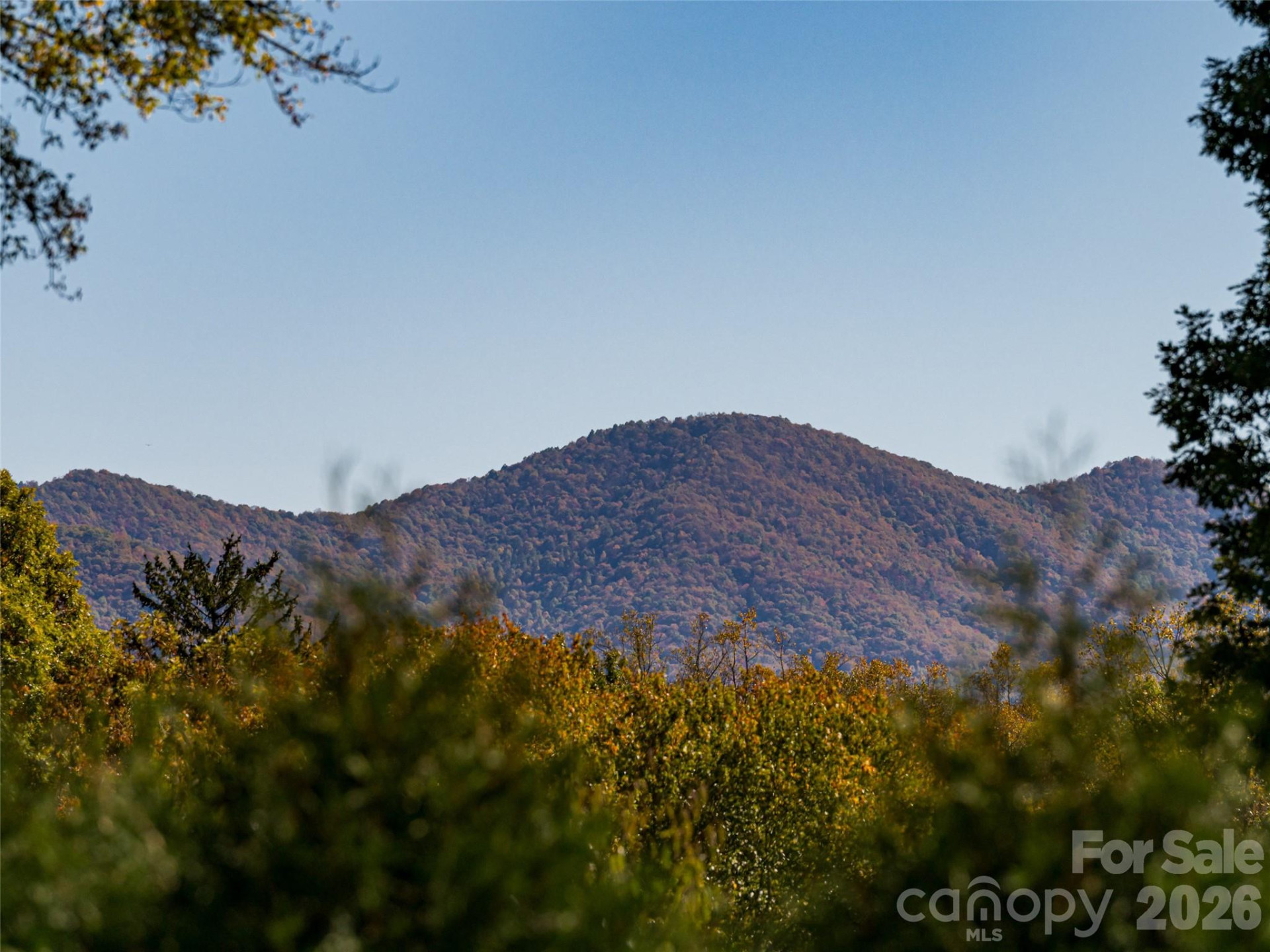 352 Justice Ridge Road - Photo 45