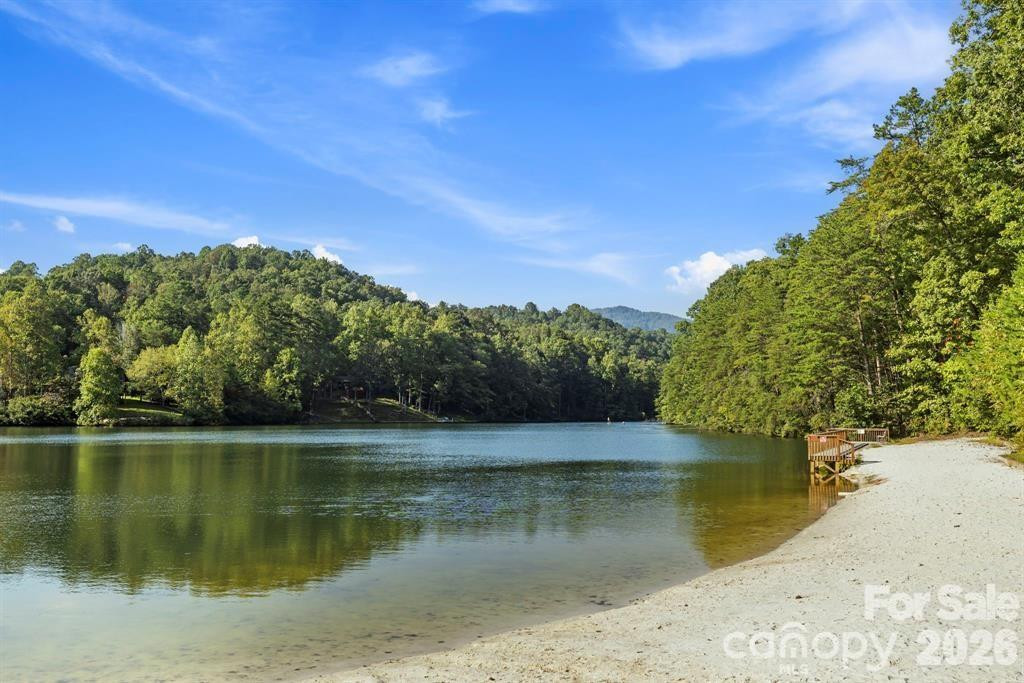 344 Wolf Trail - Photo 38