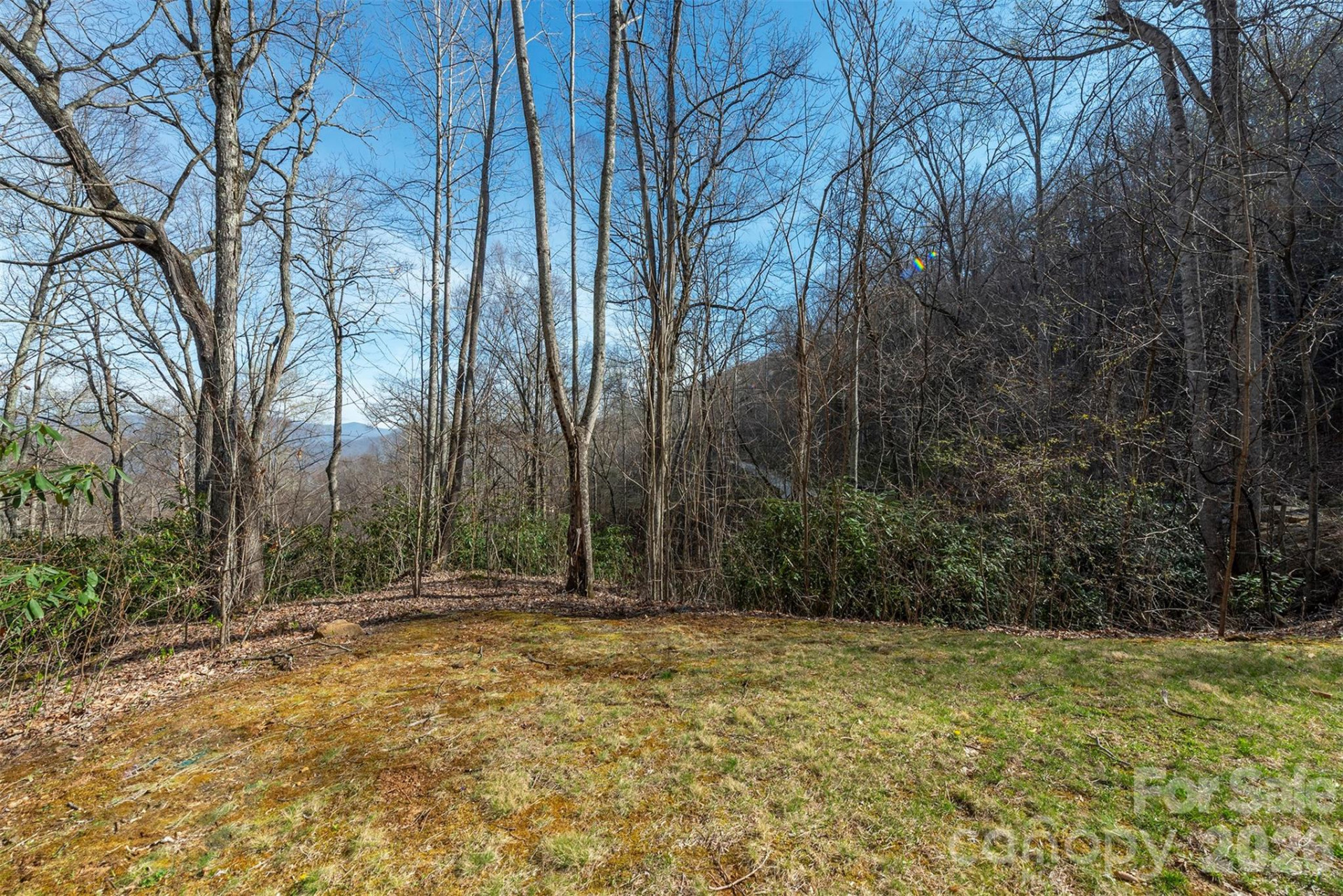 1279 Arborcrest Way #38 - Photo 12