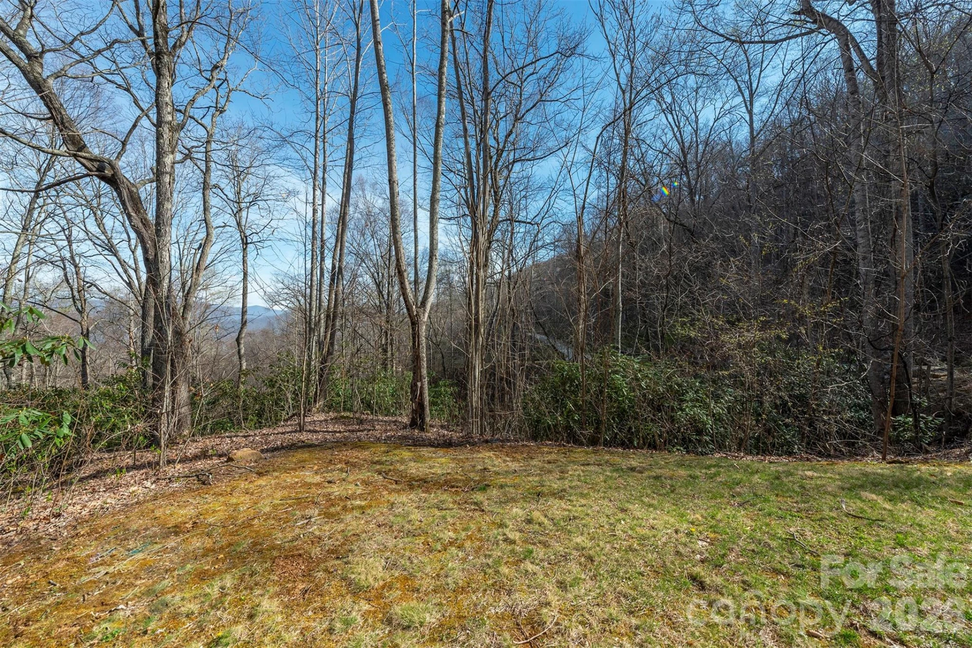 1279 Arborcrest Way #38 - Photo 12