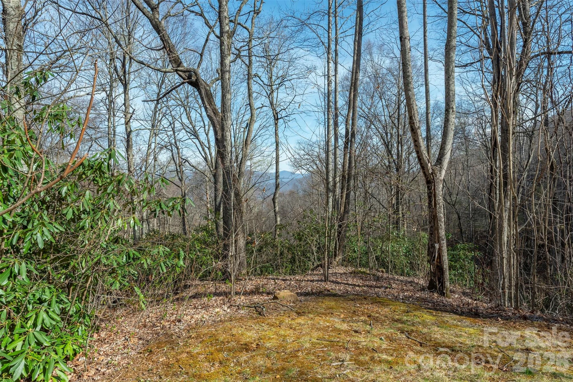1279 Arborcrest Way #38 - Photo 3