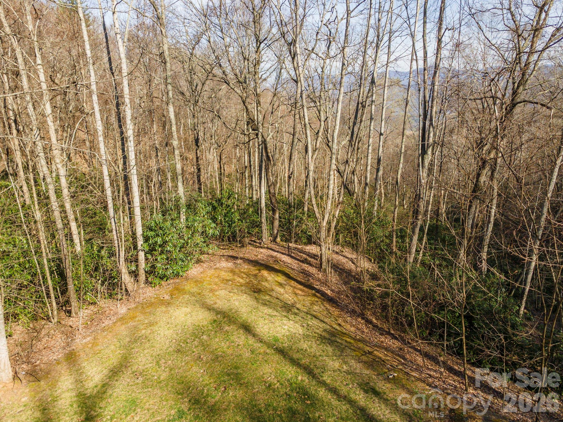 1279 Arborcrest Way #38 - Photo 4